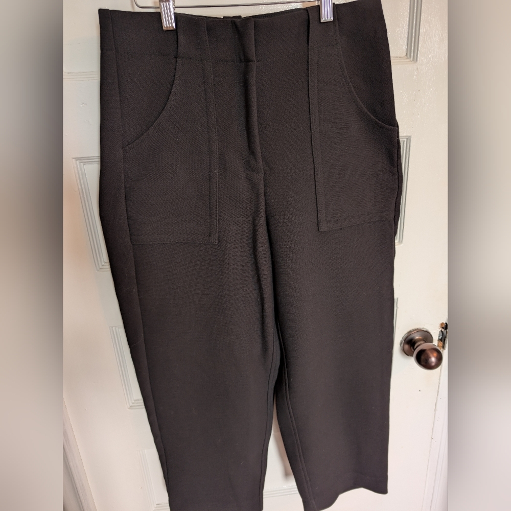Frank & Oak Wide Leg Crop